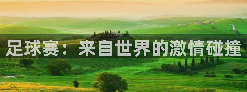 足球赛：来自世界的激情碰撞