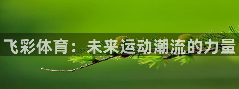 飞彩体育：未来运动潮流的力量