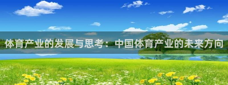 体育产业的发展与思考：中国体育产业的未来方向